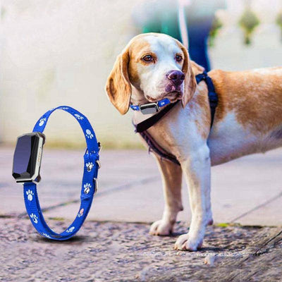 Smartpaws Gps Pet Tracker