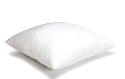 4x6 or 6x4 | Indoor Outdoor Hypoallergenic Polyester Pillow Insert |
